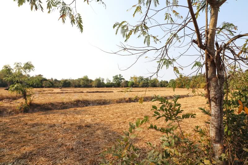 21 Rai Land for Sale Within 3 Km of Phen City, Udon Thani, Phen, Udon Thani, , 33,952 sqm, Land For Sale, by วีรภัทรา ดาร์เปอร์, 500472466 - DDproperty.com