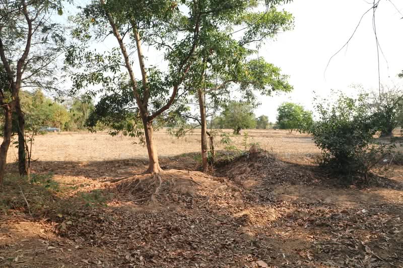21 Rai Land for Sale Within 3 Km of Phen City, Udon Thani, Phen, Udon Thani, , 33,952 sqm, Land For Sale, by วีรภัทรา ดาร์เปอร์, 500472466 - DDproperty.com