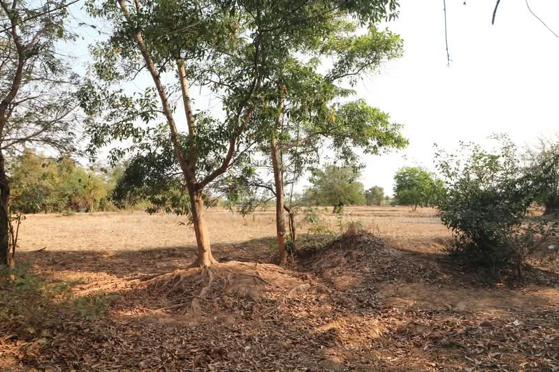 21 Rai Land for Sale Within 3 Km of Phen City, Udon Thani, Phen, Udon Thani, , 33,952 sqm, Land For Sale, by วีรภัทรา ดาร์เปอร์, 500472466 - DDproperty.com