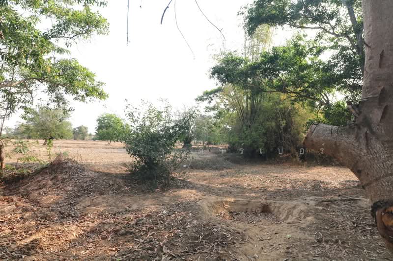 21 Rai Land for Sale Within 3 Km of Phen City, Udon Thani, Phen, Udon Thani, , 33,952 sqm, Land For Sale, by วีรภัทรา ดาร์เปอร์, 500472466 - DDproperty.com