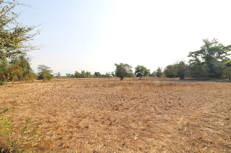 21 Rai Land for Sale Within 3 Km of Phen City, Udon Thani, Phen, Udon Thani, , 33,952 sqm, Land For Sale, by วีรภัทรา ดาร์เปอร์, 500472466 - DDproperty.com