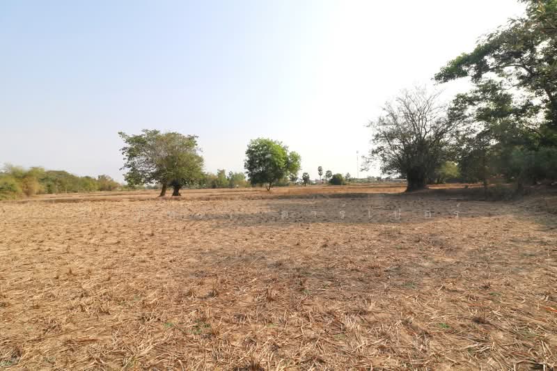 21 Rai Land for Sale Within 3 Km of Phen City, Udon Thani, Phen, Udon Thani, , 33,952 sqm, Land For Sale, by วีรภัทรา ดาร์เปอร์, 500472466 - DDproperty.com