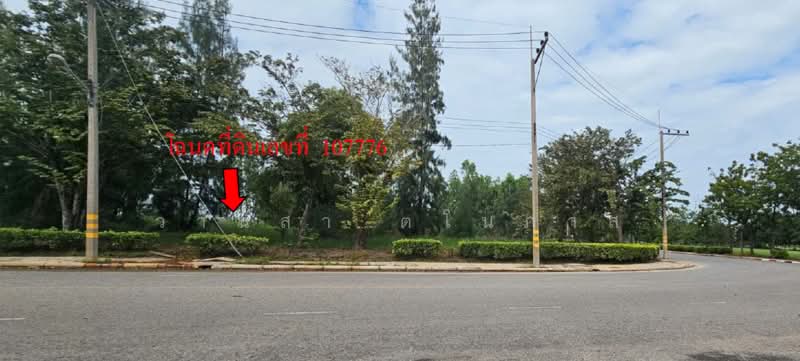 โครงการสนามกอล์ฟยูนิแลนด์, Nakhon Pathom, Wang Yen, Muang Nakhon Pathom, Nakhon Pathom, , 1,253 sqm, Land For Sale, by วานิสา ตโนภาส, 500472468 - DDproperty.com