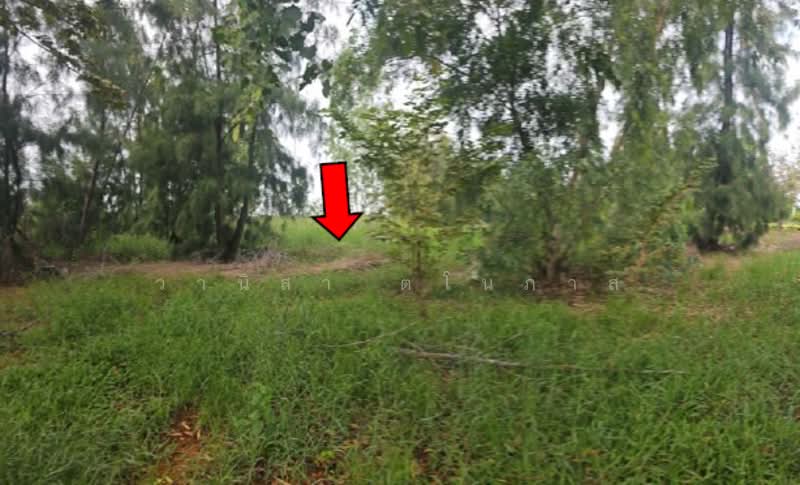 โครงการสนามกอล์ฟยูนิแลนด์, Nakhon Pathom, Wang Yen, Muang Nakhon Pathom, Nakhon Pathom, , 1,253 sqm, Land For Sale, by วานิสา ตโนภาส, 500472468 - DDproperty.com