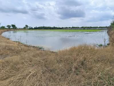 ขาย - ที่ดินหนองจอก กรุงเทพมหานคร, กรุงเทพ
