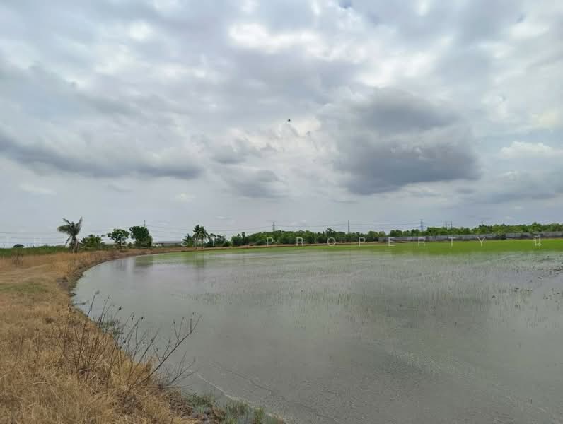 ที่ดินหนองจอก กรุงเทพมหานคร, Bangkok, Khlong Sibsong, Nong Chok, Bangkok, , 1,044 sqm, Land For Sale, by The Best Property นิ, 500472534 - DDproperty.com
