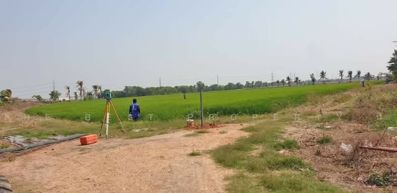 ที่ดินหนองจอก กรุงเทพมหานคร, Bangkok, Khlong Sibsong, Nong Chok, Bangkok, , 1,044 sqm, Land For Sale, by The Best Property นิ, 500472534 - DDproperty.com