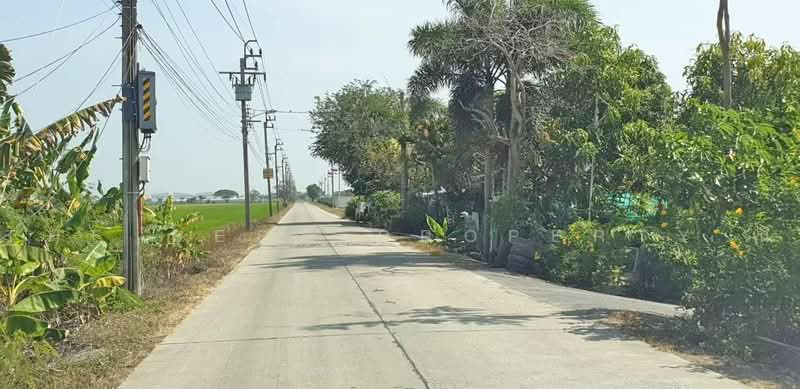 ที่ดินหนองจอก กรุงเทพมหานคร, Bangkok, Khlong Sibsong, Nong Chok, Bangkok, , 1,044 sqm, Land For Sale, by The Best Property นิ, 500472534 - DDproperty.com