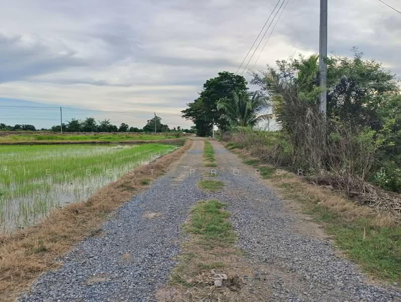 ที่ดินหนองจอก กรุงเทพมหานคร, Bangkok, Khlong Sibsong, Nong Chok, Bangkok, , 1,044 sqm, Land For Sale, by The Best Property นิ, 500472534 - DDproperty.com