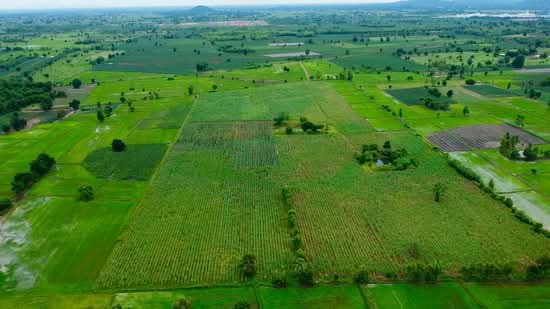 ที่ดิน 91 ไร่ นครสวรรค์,หนองบัว( สร้างฟาร์มเลี้ยงสัตว์ได้,ไร่ละไม่ถึงแสน), นครสวรรค์, 225, วังบ่อ, หนองบัว, นครสวรรค์, 145,600 ตร.ม., ที่ดิน ขาย, โดย วสันต์ วะสะติ, 500472545 - DDproperty.com