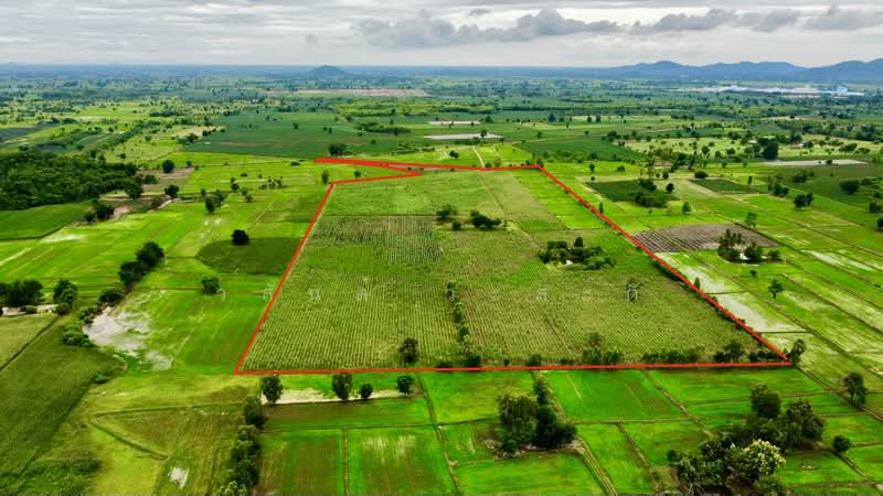 ที่ดิน 91 ไร่ นครสวรรค์,หนองบัว( สร้างฟาร์มเลี้ยงสัตว์ได้,ไร่ละไม่ถึงแสน), Nakhon Sawan, 225, Wang Bo, Nong Bua, Nakhon Sawan, , 145,600 sqm, Land For Sale, by Wasan Wasati, 500472545 - DDproperty.com