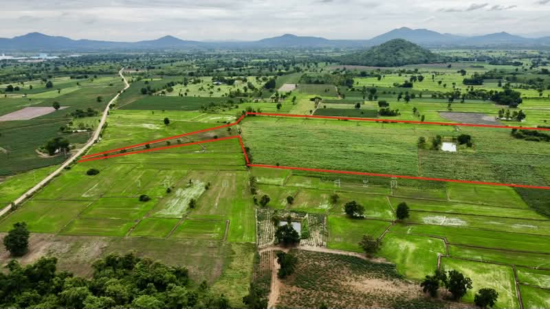 ที่ดิน 91 ไร่ นครสวรรค์,หนองบัว( สร้างฟาร์มเลี้ยงสัตว์ได้,ไร่ละไม่ถึงแสน), Nakhon Sawan, 225, Wang Bo, Nong Bua, Nakhon Sawan, , 145,600 sqm, Land For Sale, by Wasan Wasati, 500472545 - DDproperty.com
