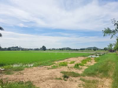 ขาย - ที่ดินพยุหะคีรี นครสวรรค์, นครสวรรค์