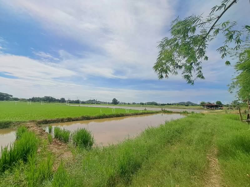 ที่ดินพยุหะคีรี นครสวรรค์, Nakhon Sawan, Phayuha, Phayuha Khiri, Nakhon Sawan, , 24,768 sqm, Land For Sale, by The Best Property  เบ็นซ์, 500472560 - DDproperty.com