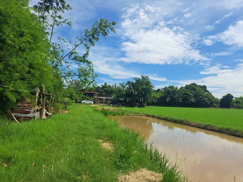 ที่ดินพยุหะคีรี นครสวรรค์, นครสวรรค์, พยุหะ, พยุหะคีรี, นครสวรรค์, 24,768 ตร.ม., ที่ดิน ขาย, โดย The Best Property  เบ็นซ์, 500472560 - DDproperty.com