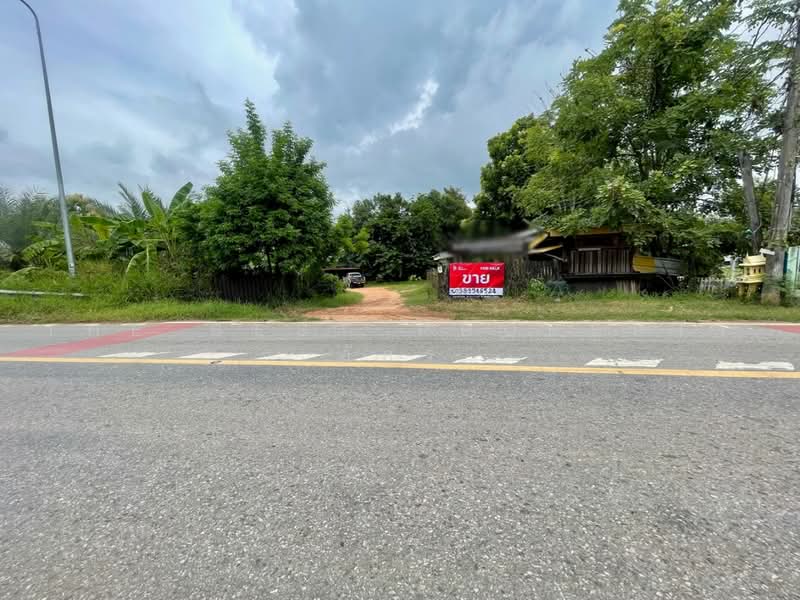 บ้านเดี่ยวพร้อมที่ดินบ้านฝาง ขอนแก่น, ขอนแก่น, ป่าหวายนั่ง, บ้านฝาง, ขอนแก่น, 80 ตร.ม., บ้านเดี่ยว ขาย, โดย The Best Property อัคร, 500472583 - DDproperty.com