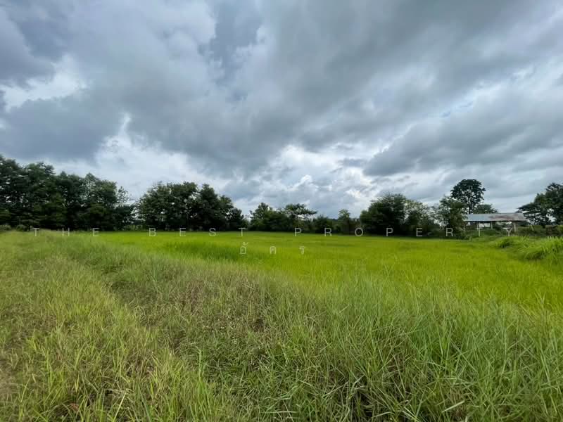บ้านเดี่ยวพร้อมที่ดินบ้านฝาง ขอนแก่น, ขอนแก่น, ป่าหวายนั่ง, บ้านฝาง, ขอนแก่น, 80 ตร.ม., บ้านเดี่ยว ขาย, โดย The Best Property อัคร, 500472583 - DDproperty.com