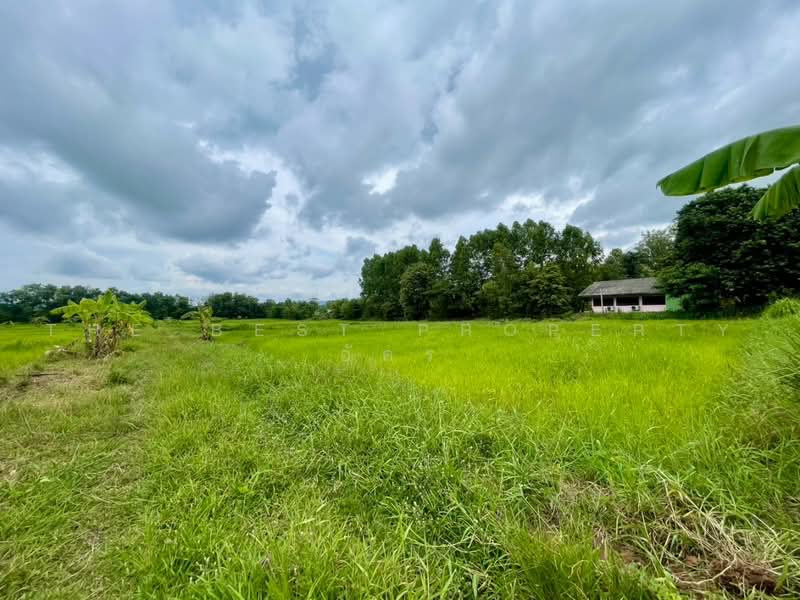 บ้านเดี่ยวพร้อมที่ดินบ้านฝาง ขอนแก่น, Khon Kaen, Pawai Nang, Ban Fang, Khon Kaen, 1 Bedroom, 80 sqm, Single Detached House For Sale, by The Best Property อัคร, 500472583 - DDproperty.com
