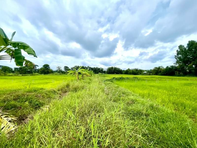 บ้านเดี่ยวพร้อมที่ดินบ้านฝาง ขอนแก่น, ขอนแก่น, ป่าหวายนั่ง, บ้านฝาง, ขอนแก่น, 80 ตร.ม., บ้านเดี่ยว ขาย, โดย The Best Property อัคร, 500472583 - DDproperty.com