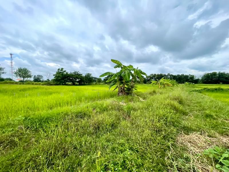 บ้านเดี่ยวพร้อมที่ดินบ้านฝาง ขอนแก่น, ขอนแก่น, ป่าหวายนั่ง, บ้านฝาง, ขอนแก่น, 80 ตร.ม., บ้านเดี่ยว ขาย, โดย The Best Property อัคร, 500472583 - DDproperty.com