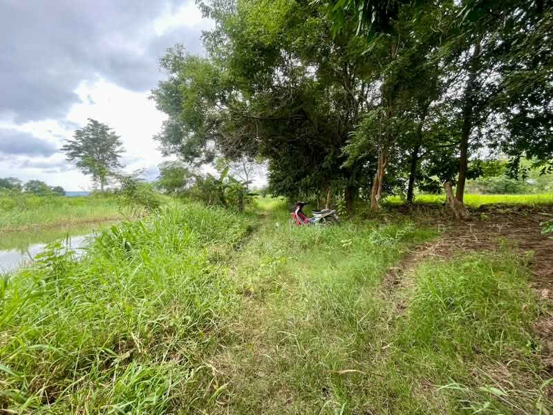 บ้านเดี่ยวพร้อมที่ดินบ้านฝาง ขอนแก่น, Khon Kaen, Pawai Nang, Ban Fang, Khon Kaen, 1 Bedroom, 80 sqm, Single Detached House For Sale, by The Best Property อัคร, 500472583 - DDproperty.com