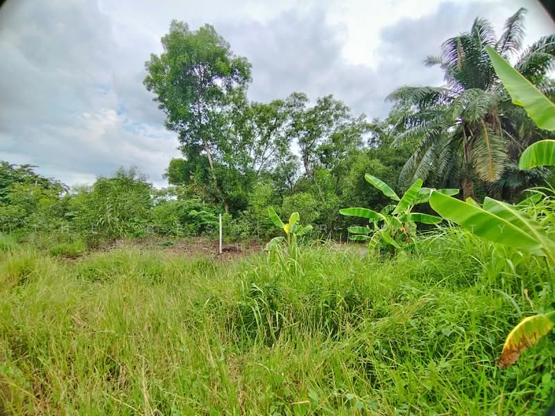 ที่ดินหนองเสือ ปทุมธานี, Pathum Thani, Bung Ba, Nong Sua, Pathum Thani, , 250 sqm, Land For Sale, by The Best Property บอส, 500472640 - DDproperty.com