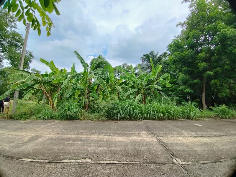 ที่ดินหนองเสือ ปทุมธานี, ปทุมธานี, บึงบา, หนองเสือ, ปทุมธานี, 250 ตร.ม., ที่ดิน ขาย, โดย The Best Property บอส, 500472640 - DDproperty.com