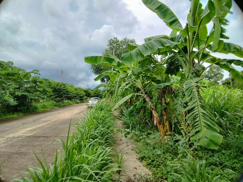 ที่ดินหนองเสือ ปทุมธานี, ปทุมธานี, บึงบา, หนองเสือ, ปทุมธานี, 250 ตร.ม., ที่ดิน ขาย, โดย The Best Property บอส, 500472640 - DDproperty.com