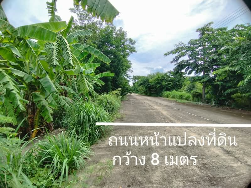 ที่ดินหนองเสือ ปทุมธานี, Pathum Thani, Bung Ba, Nong Sua, Pathum Thani, , 250 sqm, Land For Sale, by The Best Property บอส, 500472640 - DDproperty.com
