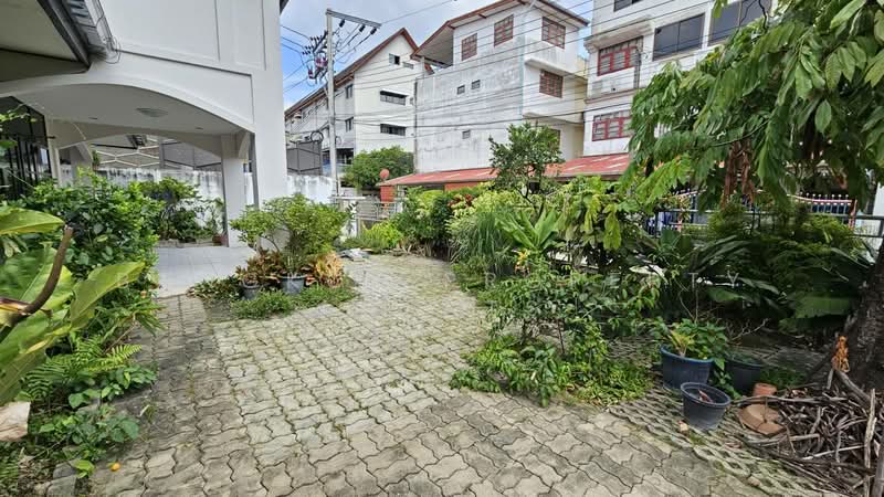 House in soi Sukhumvit 50, กรุงเทพ, บางจาก, พระโขนง, กรุงเทพ, 300 ตร.ม., บ้านเดี่ยว ให้เช่า, โดย BANGKOK PROPERTY AGENTS, 500472678 - DDproperty.com