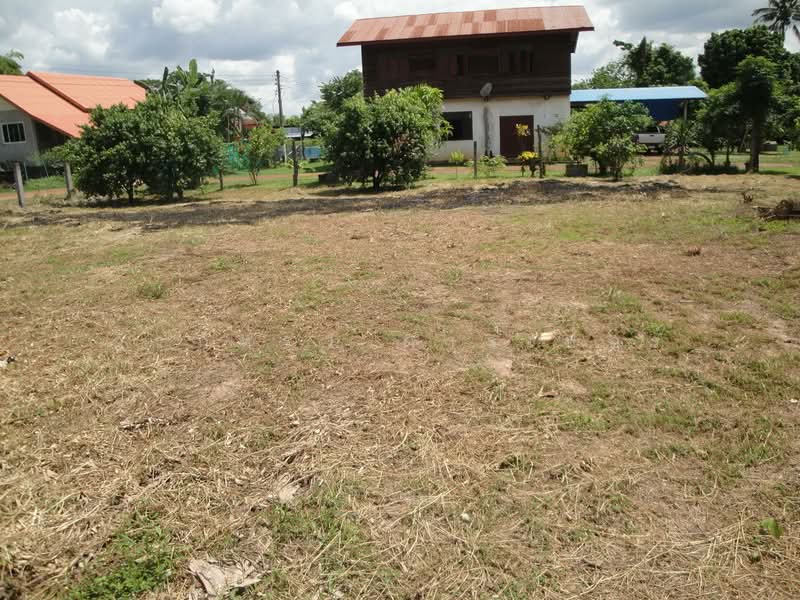 1.5 Rai Land for Sale Near Sakon Nakhon, Thailand, Ideal Building Plot, Sakon Nakhon, Hang Hong, Muang Sakon Nakhon, Sakon Nakhon, , 2,516 sqm, Land For Sale, by วีรภัทรา ดาร์เปอร์, 500472732 - DDproperty.com