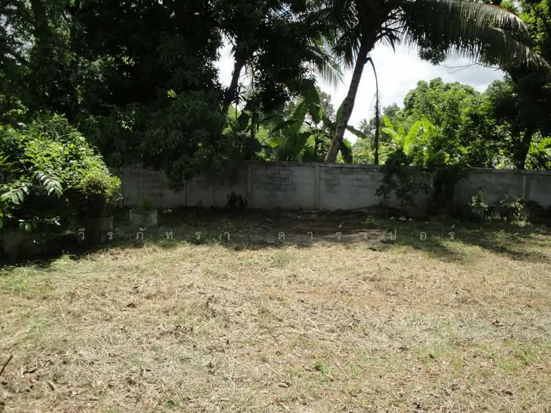1.5 Rai Land for Sale Near Sakon Nakhon, Thailand, Ideal Building Plot, Sakon Nakhon, Hang Hong, Muang Sakon Nakhon, Sakon Nakhon, , 2,516 sqm, Land For Sale, by วีรภัทรา ดาร์เปอร์, 500472732 - DDproperty.com