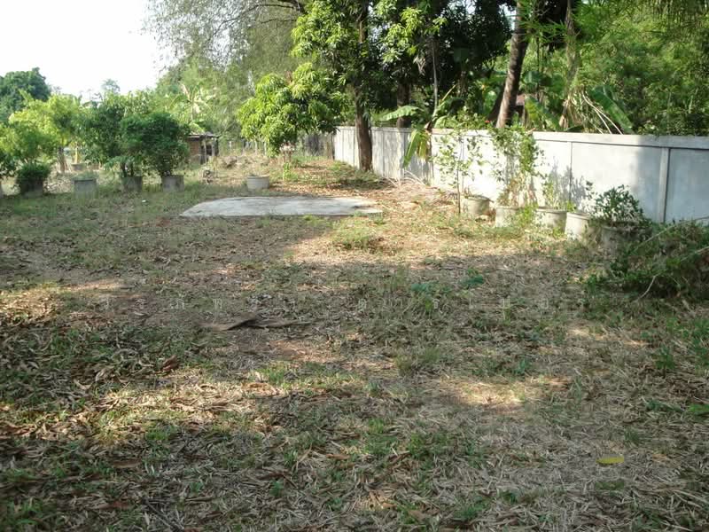 1.5 Rai Land for Sale Near Sakon Nakhon, Thailand, Ideal Building Plot, Sakon Nakhon, Hang Hong, Muang Sakon Nakhon, Sakon Nakhon, , 2,516 sqm, Land For Sale, by วีรภัทรา ดาร์เปอร์, 500472732 - DDproperty.com