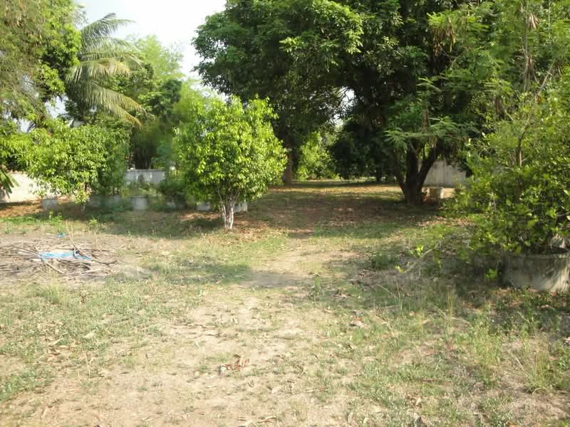 1.5 Rai Land for Sale Near Sakon Nakhon, Thailand, Ideal Building Plot, Sakon Nakhon, Hang Hong, Muang Sakon Nakhon, Sakon Nakhon, , 2,516 sqm, Land For Sale, by วีรภัทรา ดาร์เปอร์, 500472732 - DDproperty.com