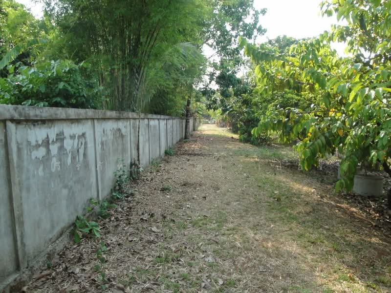1.5 Rai Land for Sale Near Sakon Nakhon, Thailand, Ideal Building Plot, Sakon Nakhon, Hang Hong, Muang Sakon Nakhon, Sakon Nakhon, , 2,516 sqm, Land For Sale, by วีรภัทรา ดาร์เปอร์, 500472732 - DDproperty.com