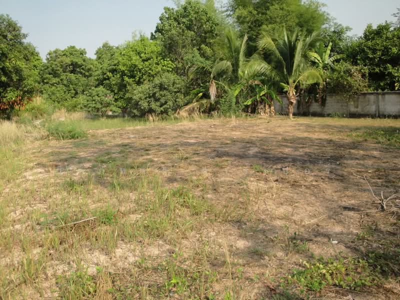 1.5 Rai Land for Sale Near Sakon Nakhon, Thailand, Ideal Building Plot, Sakon Nakhon, Hang Hong, Muang Sakon Nakhon, Sakon Nakhon, , 2,516 sqm, Land For Sale, by วีรภัทรา ดาร์เปอร์, 500472732 - DDproperty.com