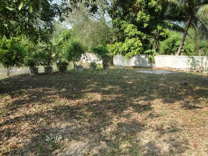 1.5 Rai Land for Sale Near Sakon Nakhon, Thailand, Ideal Building Plot, Sakon Nakhon, Hang Hong, Muang Sakon Nakhon, Sakon Nakhon, , 2,516 sqm, Land For Sale, by วีรภัทรา ดาร์เปอร์, 500472732 - DDproperty.com