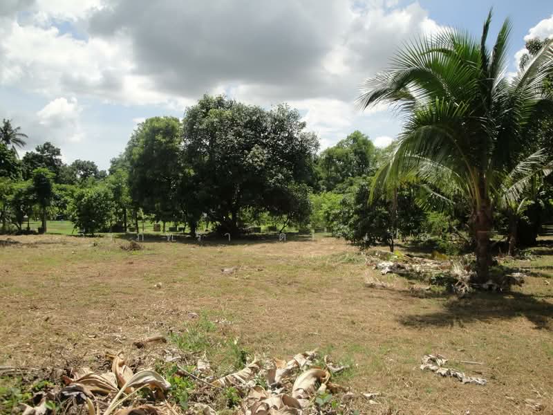 1.5 Rai Land for Sale Near Sakon Nakhon, Thailand, Ideal Building Plot, Sakon Nakhon, Hang Hong, Muang Sakon Nakhon, Sakon Nakhon, , 2,516 sqm, Land For Sale, by วีรภัทรา ดาร์เปอร์, 500472732 - DDproperty.com