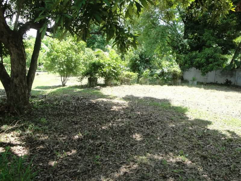 1.5 Rai Land for Sale Near Sakon Nakhon, Thailand, Ideal Building Plot, Sakon Nakhon, Hang Hong, Muang Sakon Nakhon, Sakon Nakhon, , 2,516 sqm, Land For Sale, by วีรภัทรา ดาร์เปอร์, 500472732 - DDproperty.com
