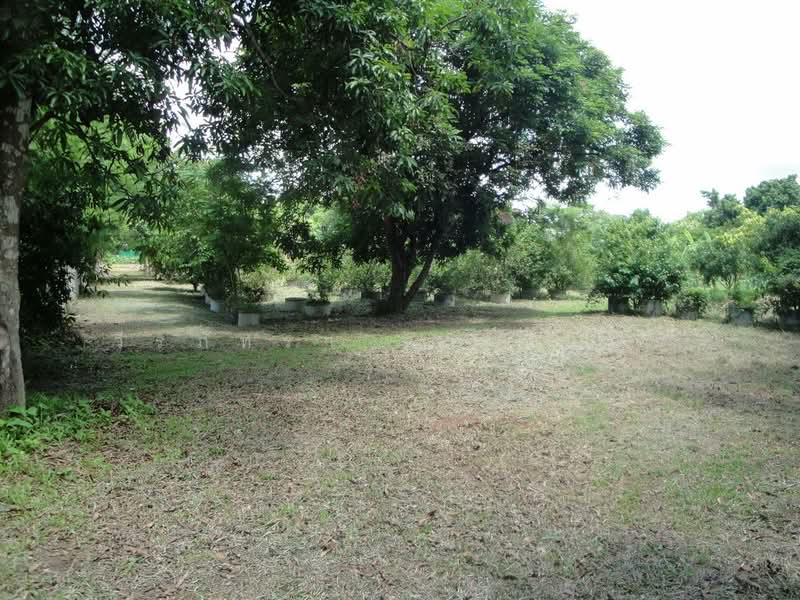 1.5 Rai Land for Sale Near Sakon Nakhon, Thailand, Ideal Building Plot, Sakon Nakhon, Hang Hong, Muang Sakon Nakhon, Sakon Nakhon, , 2,516 sqm, Land For Sale, by วีรภัทรา ดาร์เปอร์, 500472732 - DDproperty.com
