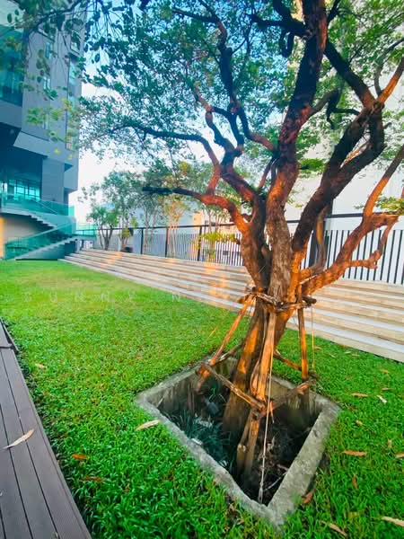 The Capital Ekamai-Thonglor, Bangkok, 2898 New Petchaburi Rd, Bang Kapi, Huai Khwang, Bangkok, 2 Bedrooms, 54 sqm, Condo For Rent, by Sunny Next Step, 500472739 - DDproperty.com