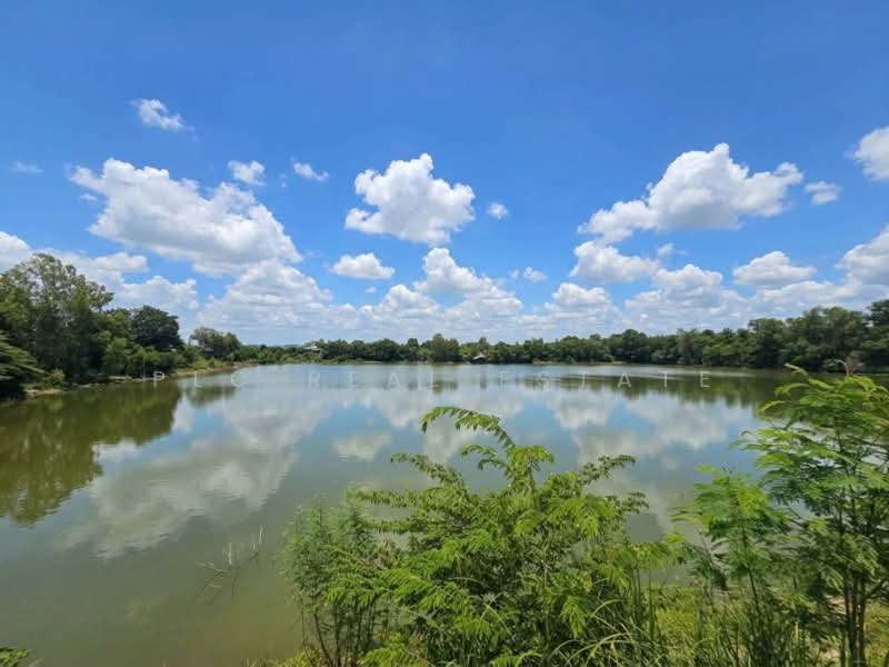 ที่ดินขาย หนองปรือ พัทยาตะวันออก 11 ไร่ พร้อมบ่อน้ำและพื้นที่สระน้ำ, ชลบุรี, บางละมุง, ชลบุรี, 18,448 ตร.ม., ที่ดิน ขาย, โดย PLC REAL ESTATE, 500472751 - DDproperty.com