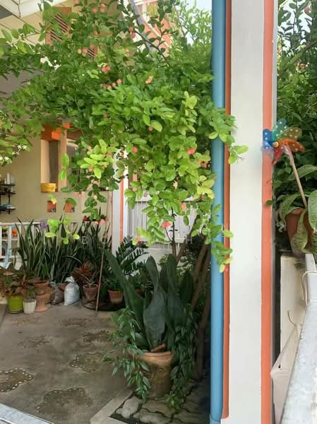 3-BR Townhouse, Bangkok, Sai Mai, Bangkok, 3 Bedrooms, 150 sqm, Townhouse For Sale, by Pichamon Boonchit, 500472800 - DDproperty.com