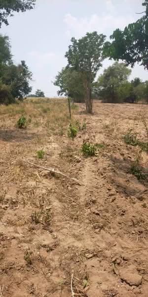 น้ำชุน, Phetchabun, Nam Chun, Lom Sak, Phetchabun, , 4,882 sqm, Land For Sale, by กัญภาศร บุญครอง, 500472849 - DDproperty.com