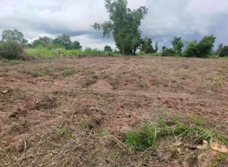 น้ำชุน, Phetchabun, Nam Chun, Lom Sak, Phetchabun, , 4,882 sqm, Land For Sale, by กัญภาศร บุญครอง, 500472849 - DDproperty.com