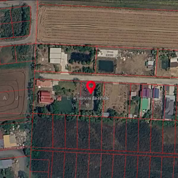 ที่ดินเปล่า200ตรว. ผังสีเขียว ซ.ลำลูกกา196 หนองจอก, กรุงเทพ, คลองสิบสอง, หนองจอก, กรุงเทพ, 800 ตร.ม., ที่ดิน ขาย, โดย AJHOMECENTER-คุณหมู, 500472860 - DDproperty.com