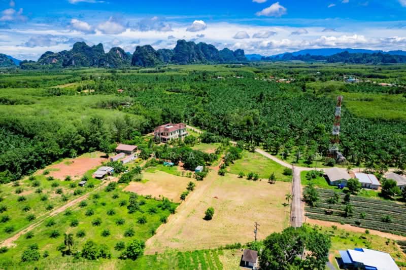 ที่ดินทำเลทอง อ่าวน้ำเมา กระบี่, Krabi, กระบี่, ไสไทย, เมืองกระบี่, กระบี่, 5,084 ตร.ม., ที่ดิน ขาย, โดย Adchara Voeten, 500472909 - DDproperty.com