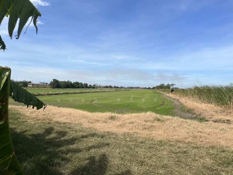 คลองเปรง, Chachoengsao, Khlong Preng, Muang Chachoengsao, Chachoengsao, , 22,612 sqm, Land For Sale, by นฤมล ครั่งฝา, 500472968 - DDproperty.com