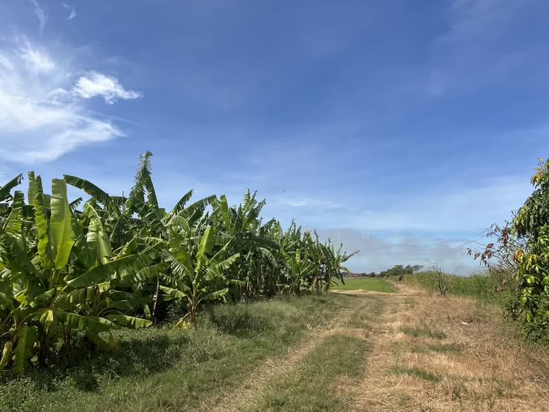 คลองเปรง, Chachoengsao, Khlong Preng, Muang Chachoengsao, Chachoengsao, , 22,612 sqm, Land For Sale, by นฤมล ครั่งฝา, 500472968 - DDproperty.com
