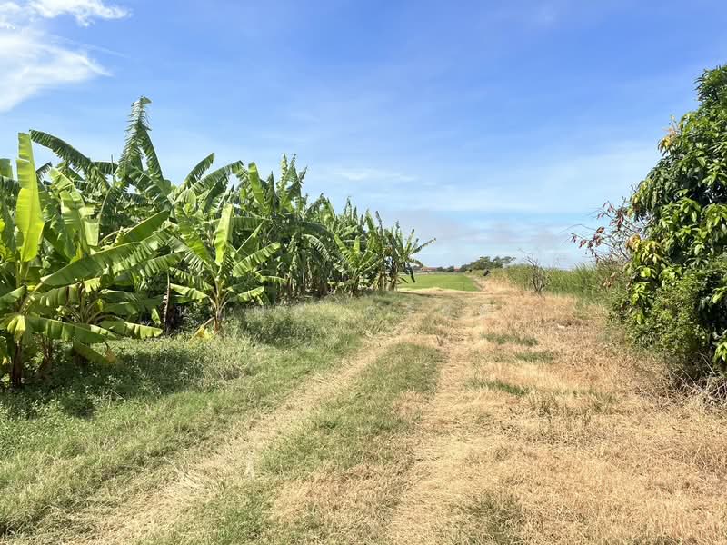 คลองเปรง, Chachoengsao, Khlong Preng, Muang Chachoengsao, Chachoengsao, , 22,612 sqm, Land For Sale, by นฤมล ครั่งฝา, 500472968 - DDproperty.com